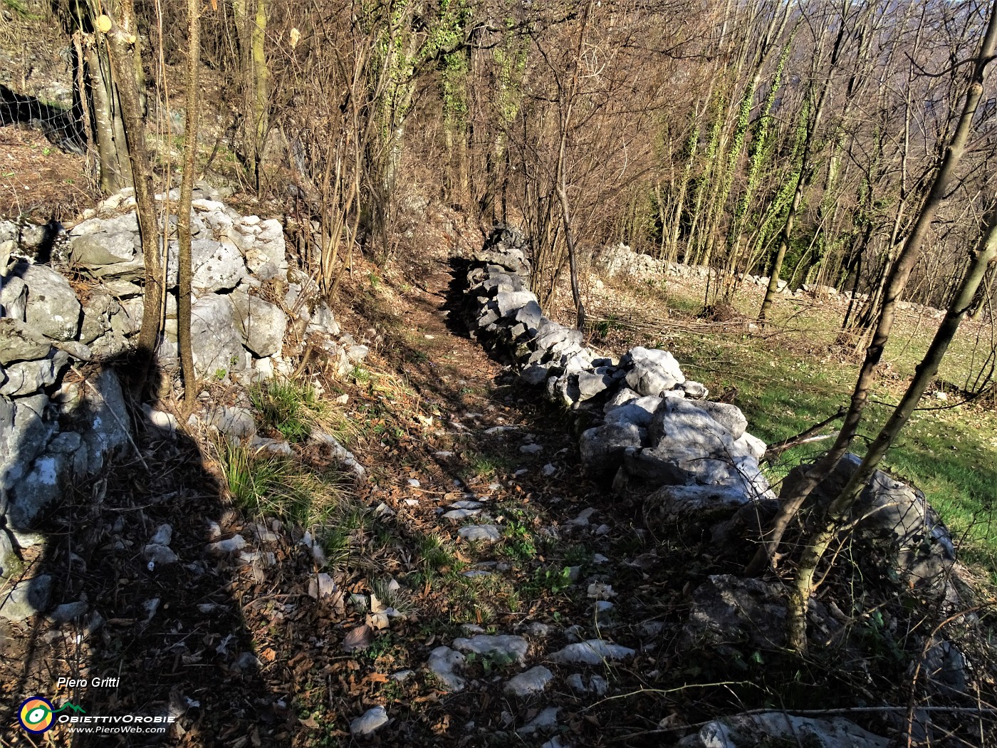 65 Scendo il sentiero dal Ronco a Vettarola-Ca' Boffelli.JPG